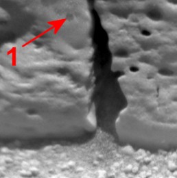 La sonde européenne Mars Express a relayé les émissions de Curiosity
