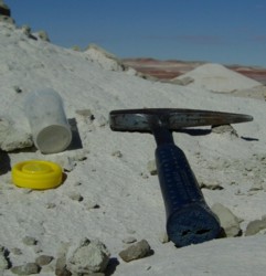 MDRS 124 11 février