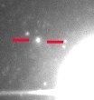 Siding Springs et Mars depuis la Terre