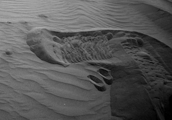 mars-curiosity-rover-sand-dune-bagnold-full détail